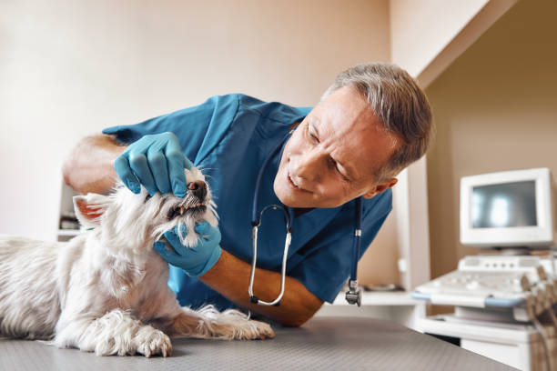Best Tooth Infection Emergency Dentist  in Lake Darby, OH